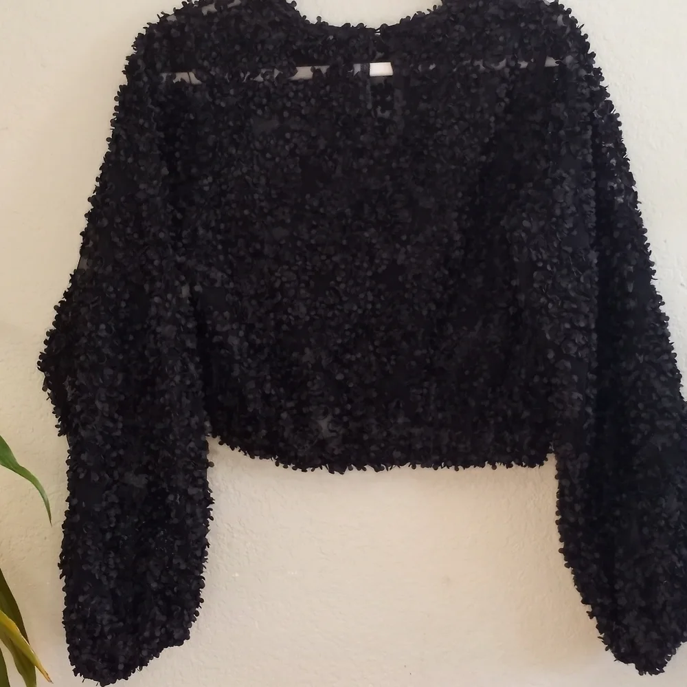 Zara Sheer Black Mesh With 3D Applique Petals Boho Casual Crop Long Sleeve Top